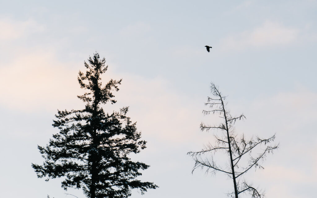 Einde rentevaste periode