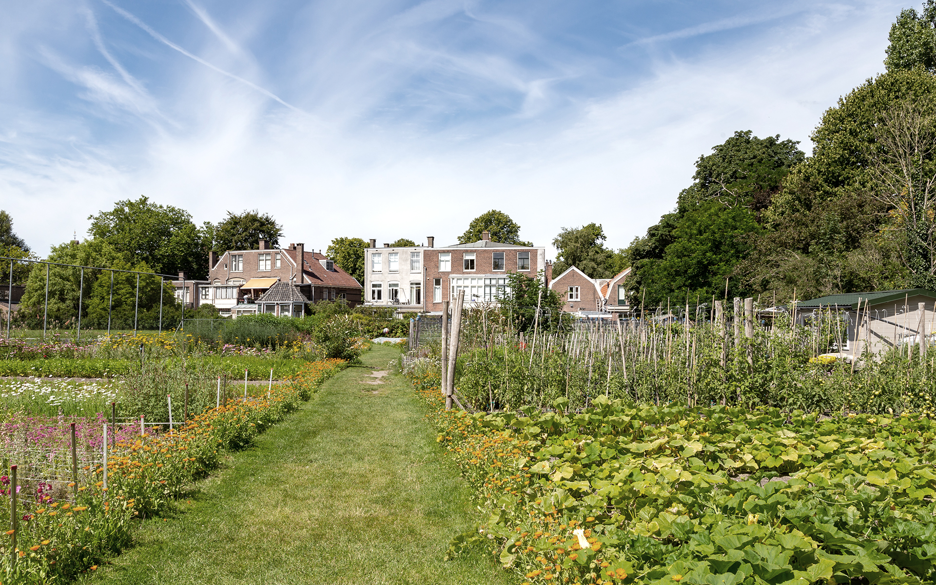 Verduurzaming woning vraagt stap-voor-stapbenadering